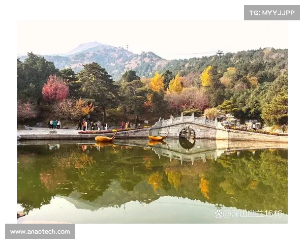 冬季湖畔的诗意体验探索：五大绝佳去处带你感受寒冬中的宁静与美丽