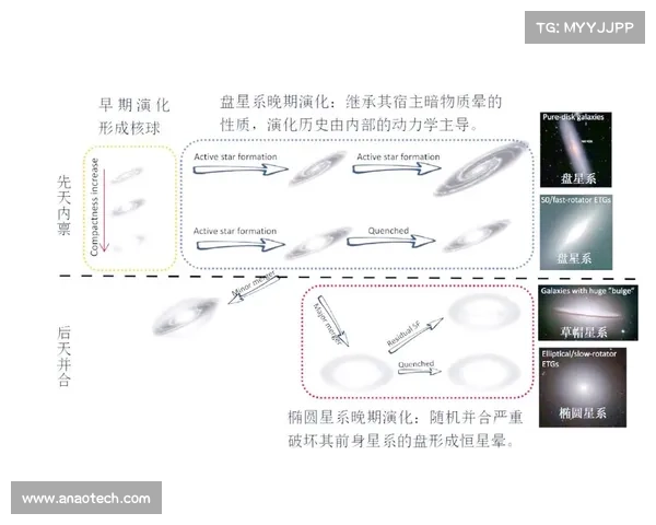 星系演化研究的五个关键视角与未来发展趋势探讨
