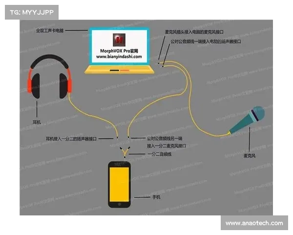 MorphVox Pro：探秘语音变换的魔力与特性