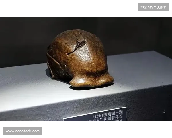 黄金秘宝与失落文明的神秘传说探秘揭示古老遗迹中隐藏的无尽财富与谜团