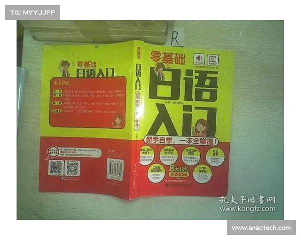 零基础掌握红字装备净化技巧与全面提升实用攻略