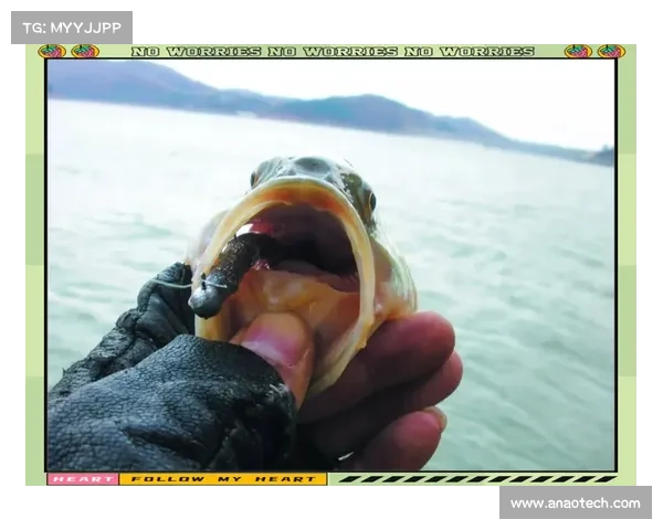 激战2中游侠如何驯服宠物全面指南与技巧解析