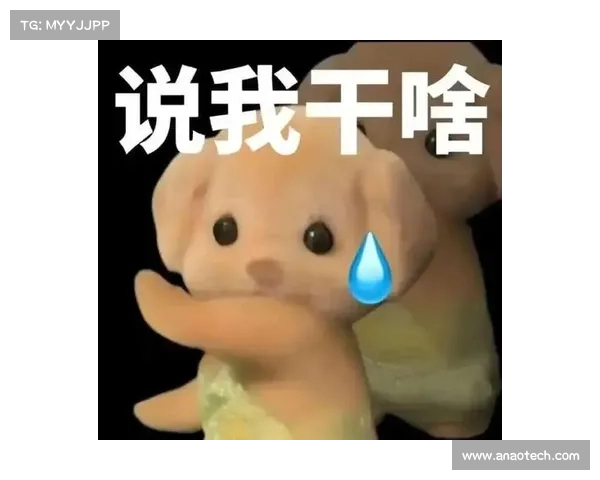 如何利用11-11表情包打造独特的森贝儿风格与创意表现